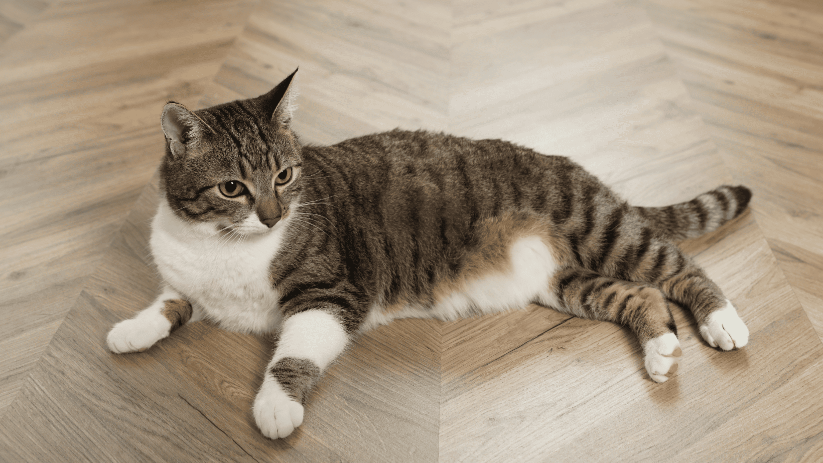 Põrandaküte ja kattematerjal – kuidas need kokku sobitada?